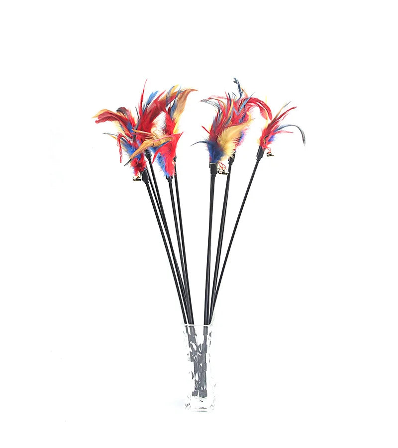 5-Piece Feather Cat Teaser Wand Toy Set