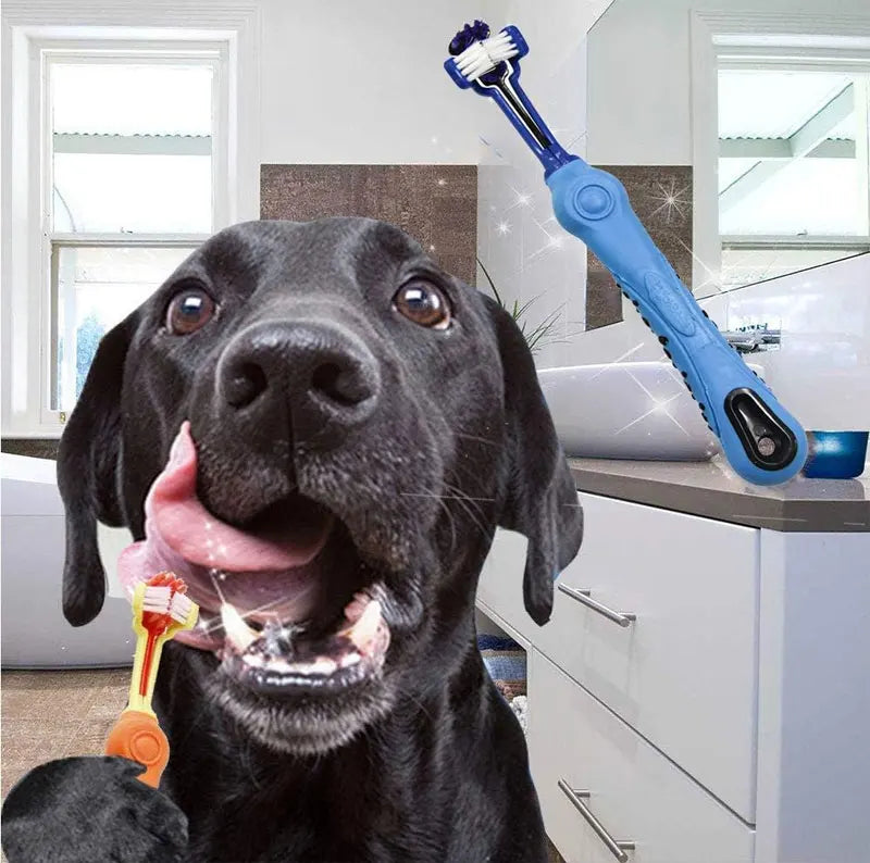 3-Sided Pet Toothbrush