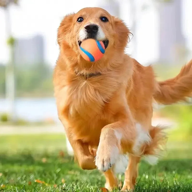 Durable Dog Fetch Ball Toy