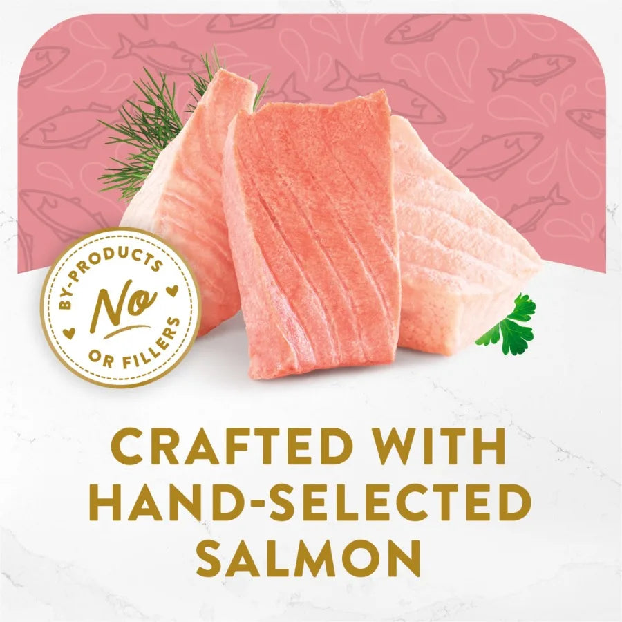 Appetizers Wet Cat Food, Steamed Alaskan Salmon, 1.1 oz Trays, 10 Pack