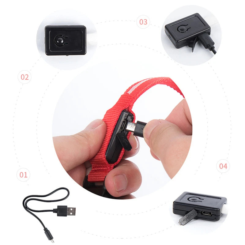USB Rechargeable LED Glowing Pet Collar