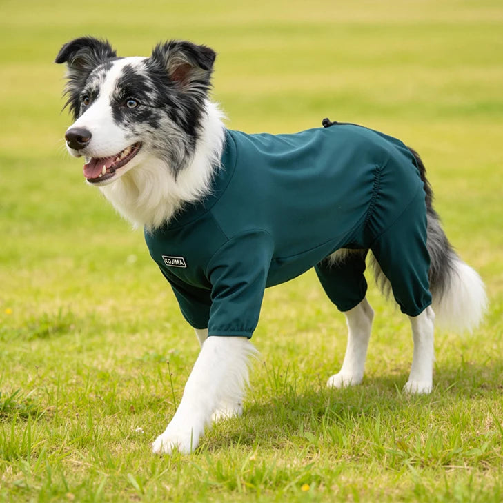 Pet Pajamas