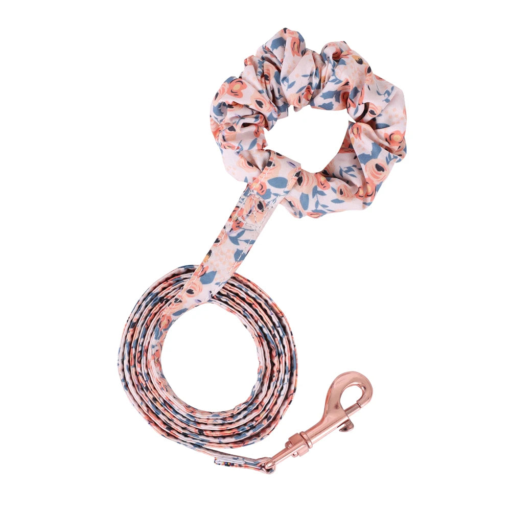 Soft Adjustable Dog Harness & Leash Set