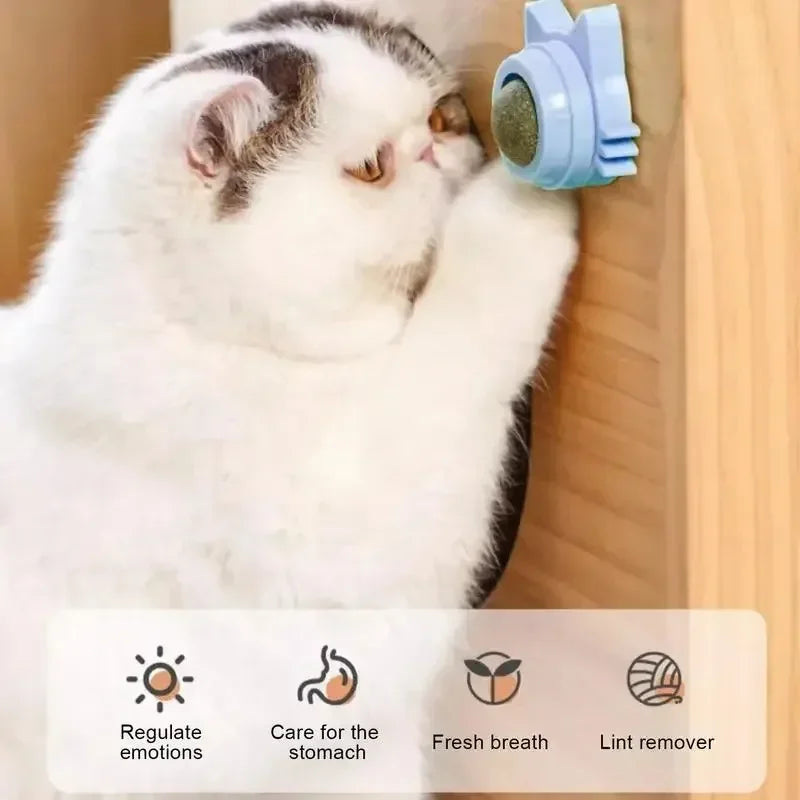Rotatable Wall-Mounted Catnip Ball Toy