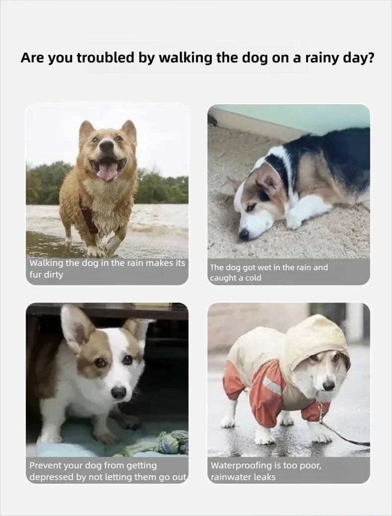 Dinosaur Dog Raincoat
