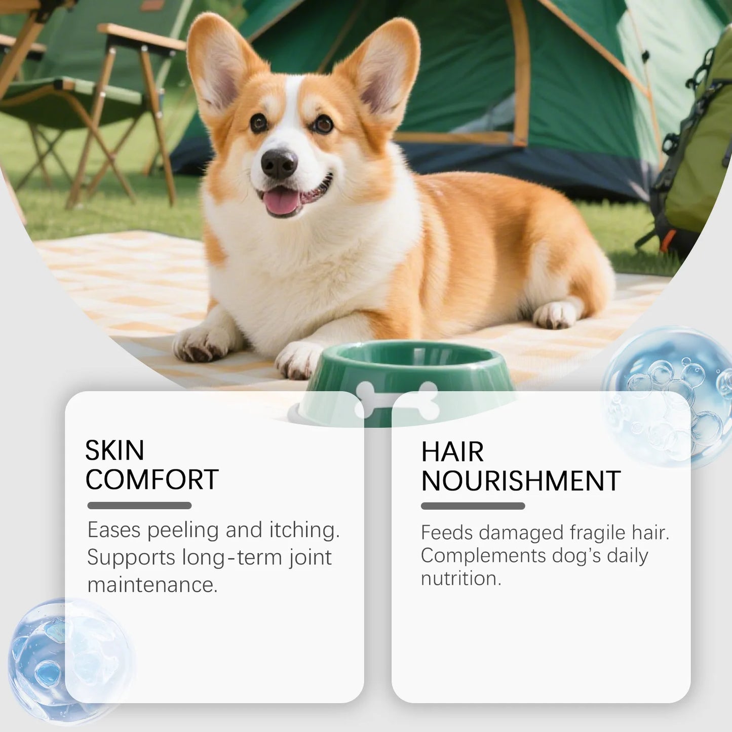 Dog Collagen Skin & Coat Supplement