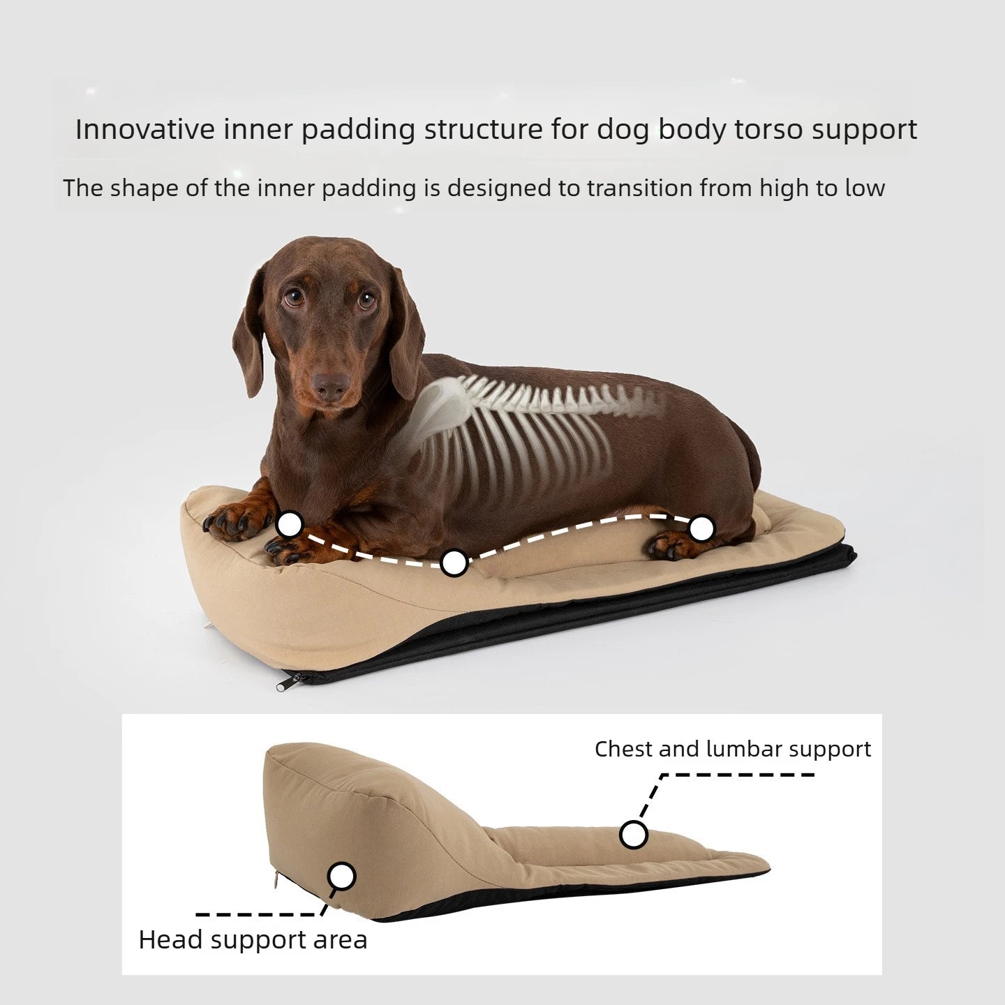 Nylon Dachshund Carrier Backpack
