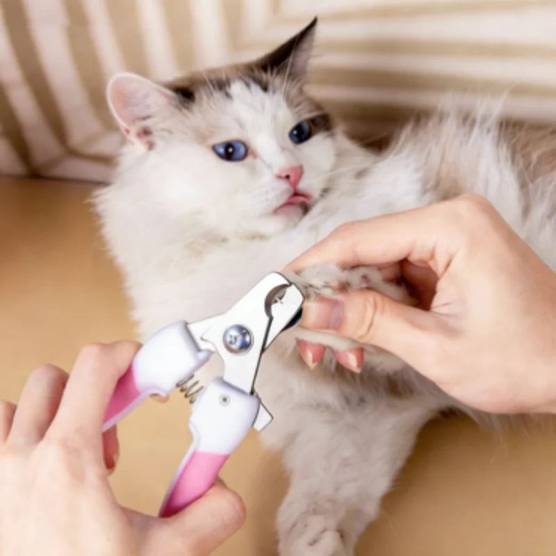 Stainless Steel Pet Nail Clippers