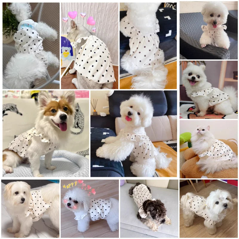 Dot Pet Dress