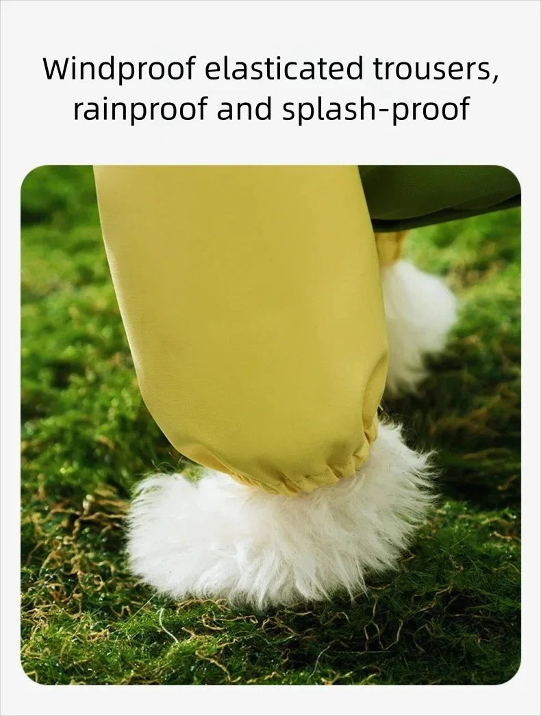 Dinosaur Dog Raincoat
