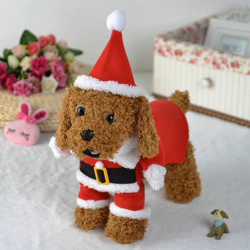 Santa Pet Costume