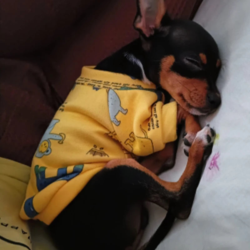 Small Dog Pet Jacket Shirt