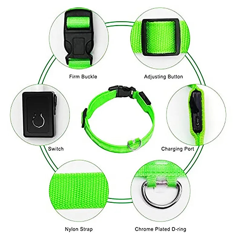 USB Rechargeable LED Glowing Pet Collar