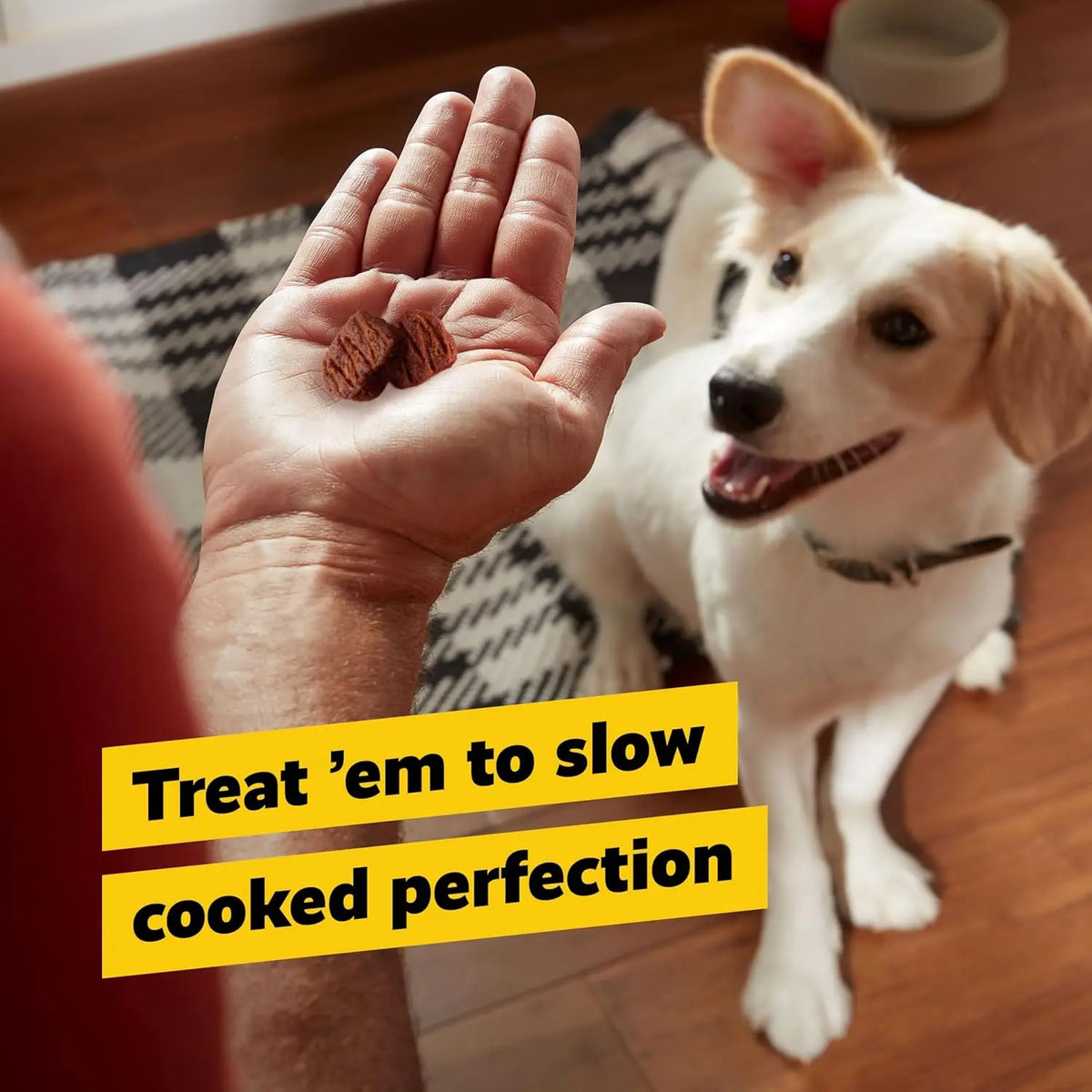 Beef Jerky Dog Treats