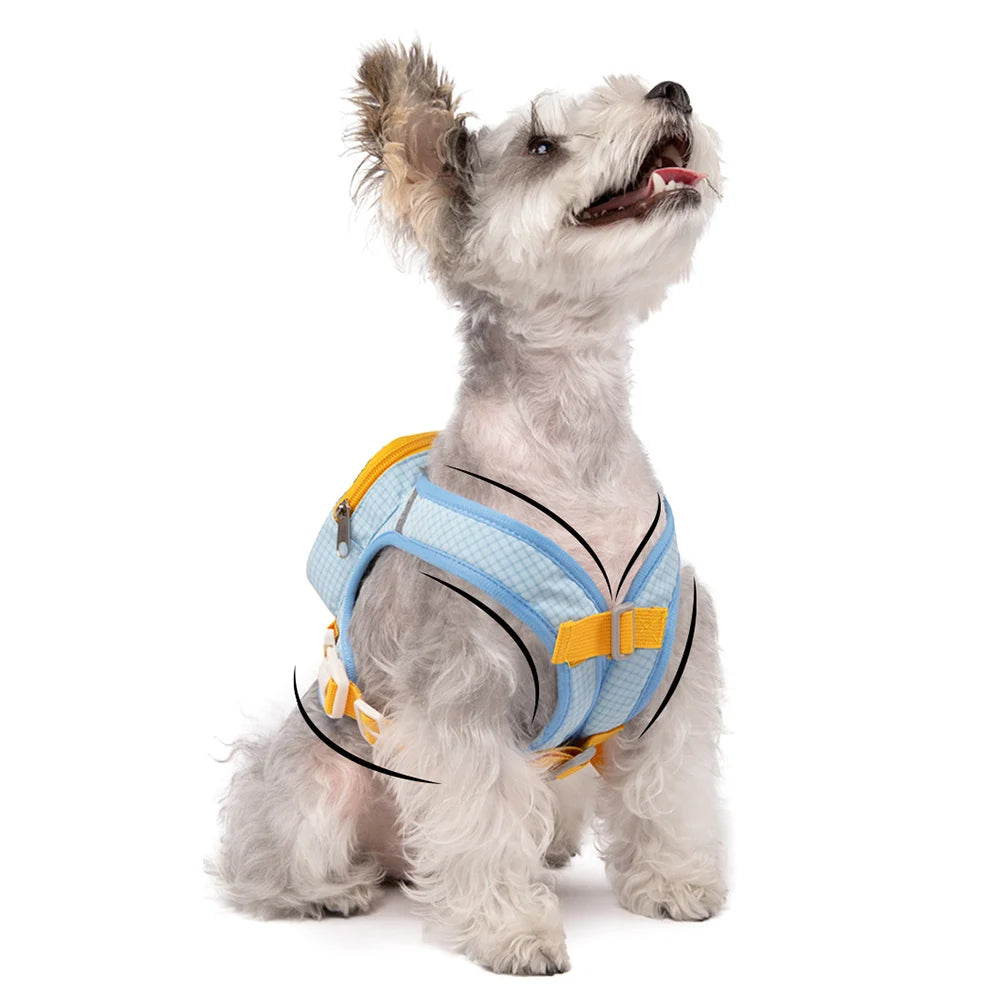 Cute Reflective Pet Harness & Leash Set