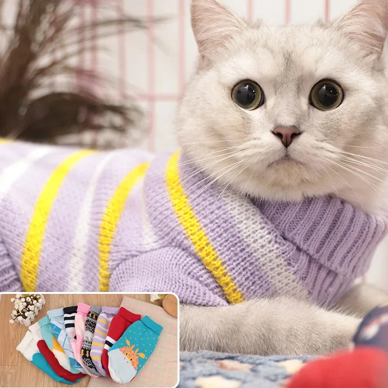 Sphynx Cat Sweater