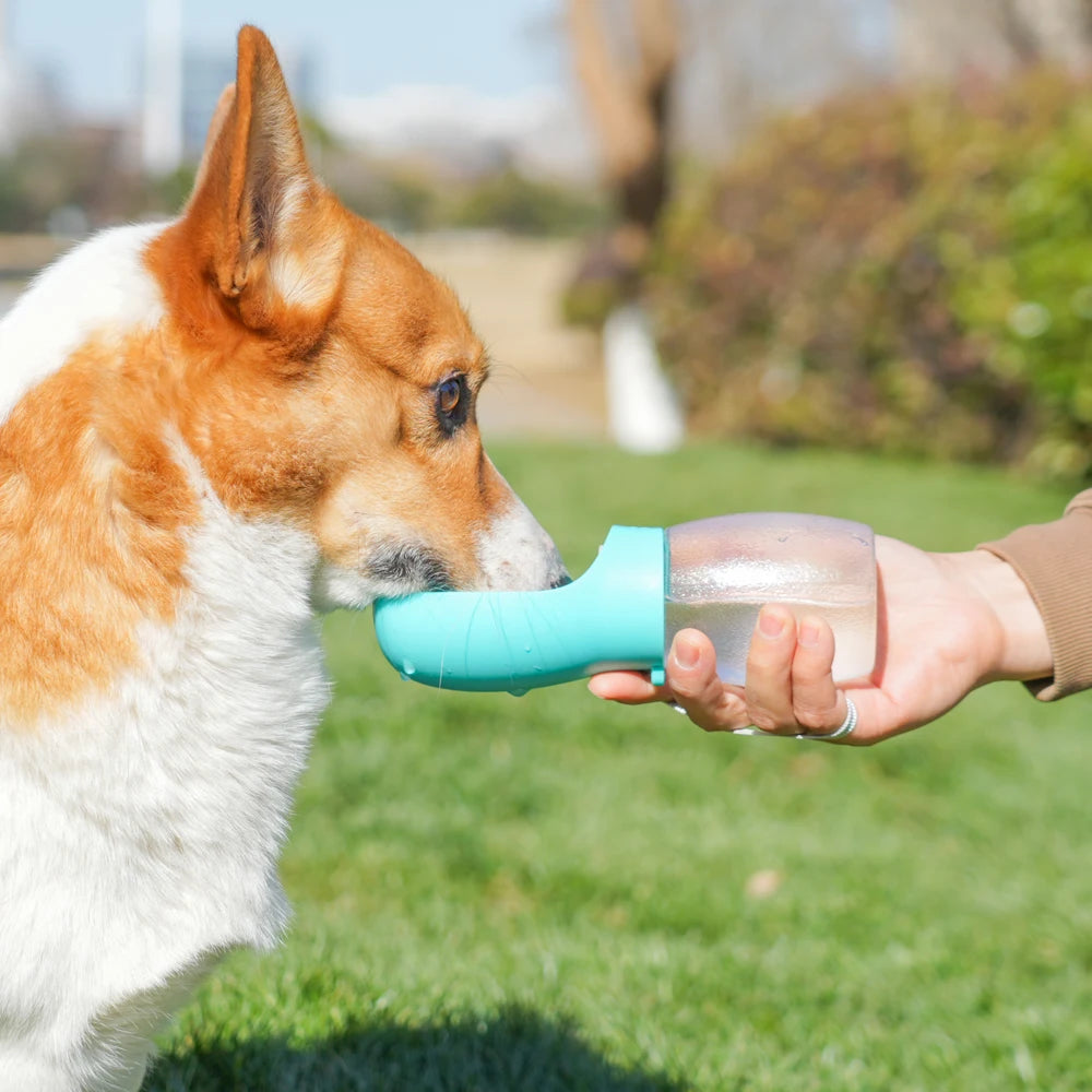 300ml Portable Pet Water Bottle