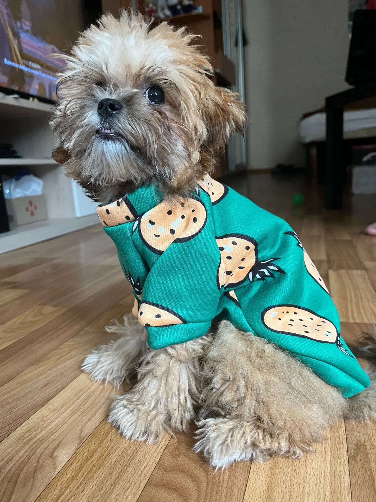 Small Dog Pet Jacket Shirt