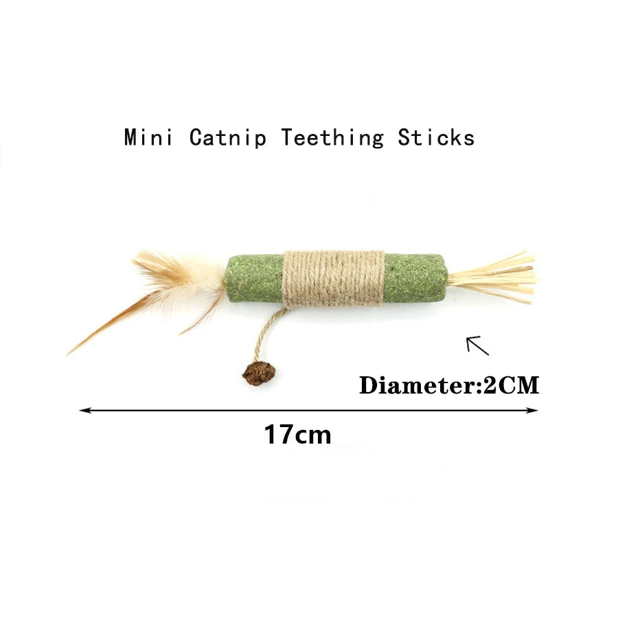 Smart Interactive Catnip Ball Toy
