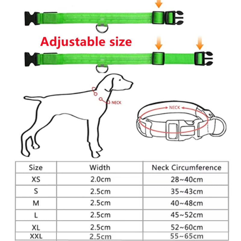 USB Rechargeable LED Glowing Pet Collar