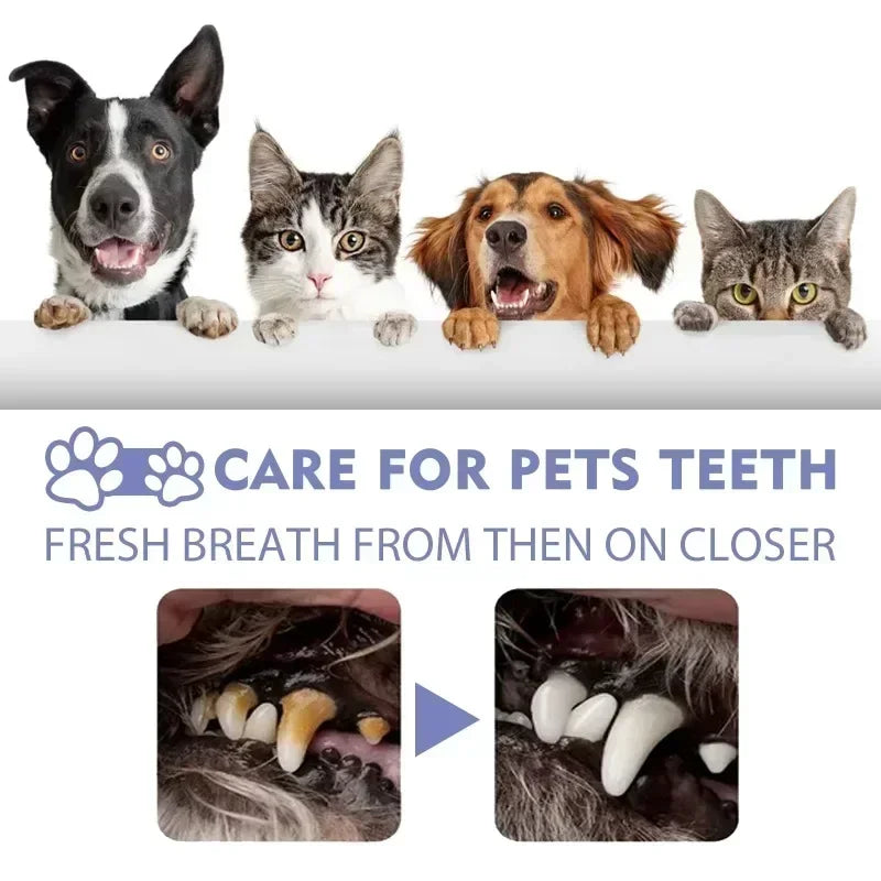 Pet Teeth Cleaning Spray for Fresh Breath