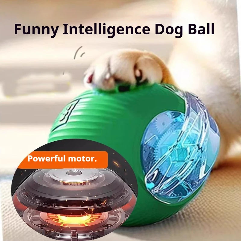 Automatic Rechargeable Interactive Dog Ball Toy