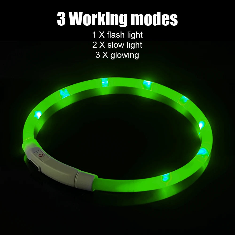 USB Rechargeable LED Dog Safety Collar