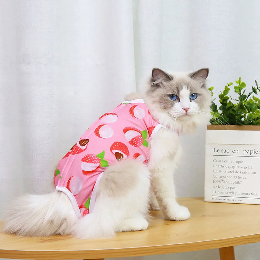 Pet Recovery Vest