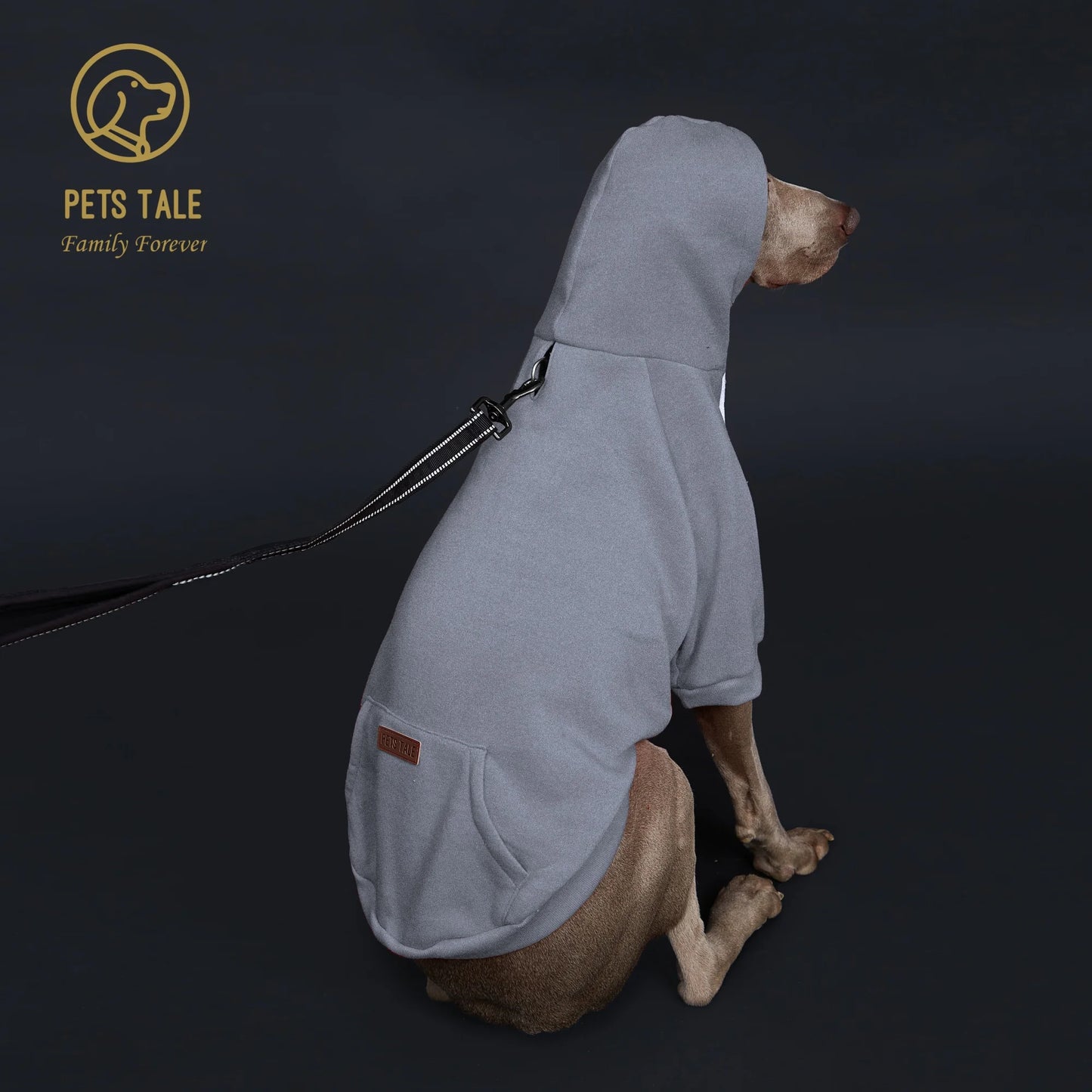 Dog Hoodie with Pocket