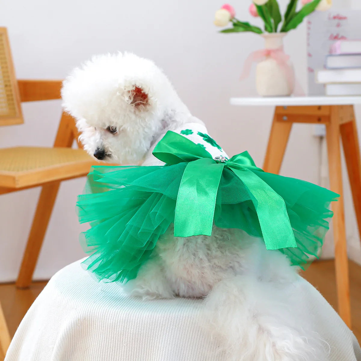Princess Pet Dress