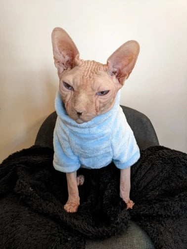 Sphynx Cat Hoodie