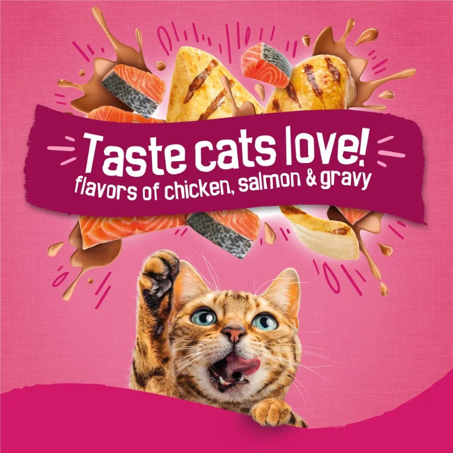 Gravy Swirlers Dry Cat Food (22 lb)