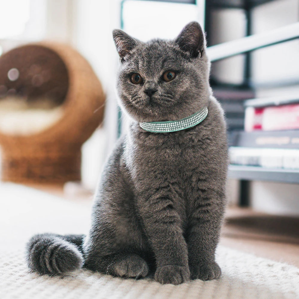Soft Suede Cat Collar with Bell & Safety Buckle