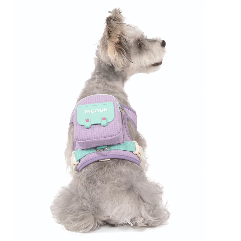 Cute Reflective Pet Harness & Leash Set