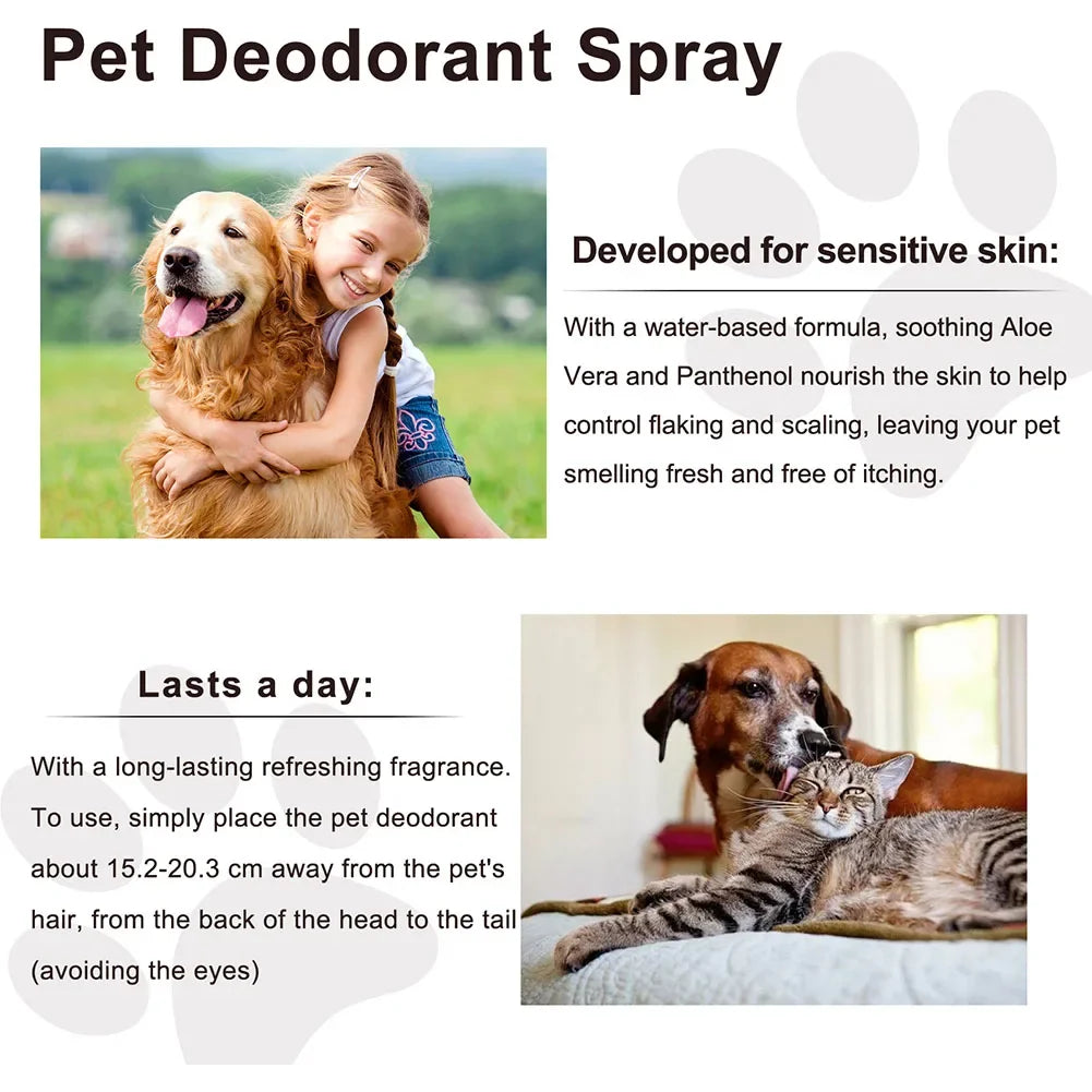 Lavender Dog Deodorizing Spray for Odor Control
