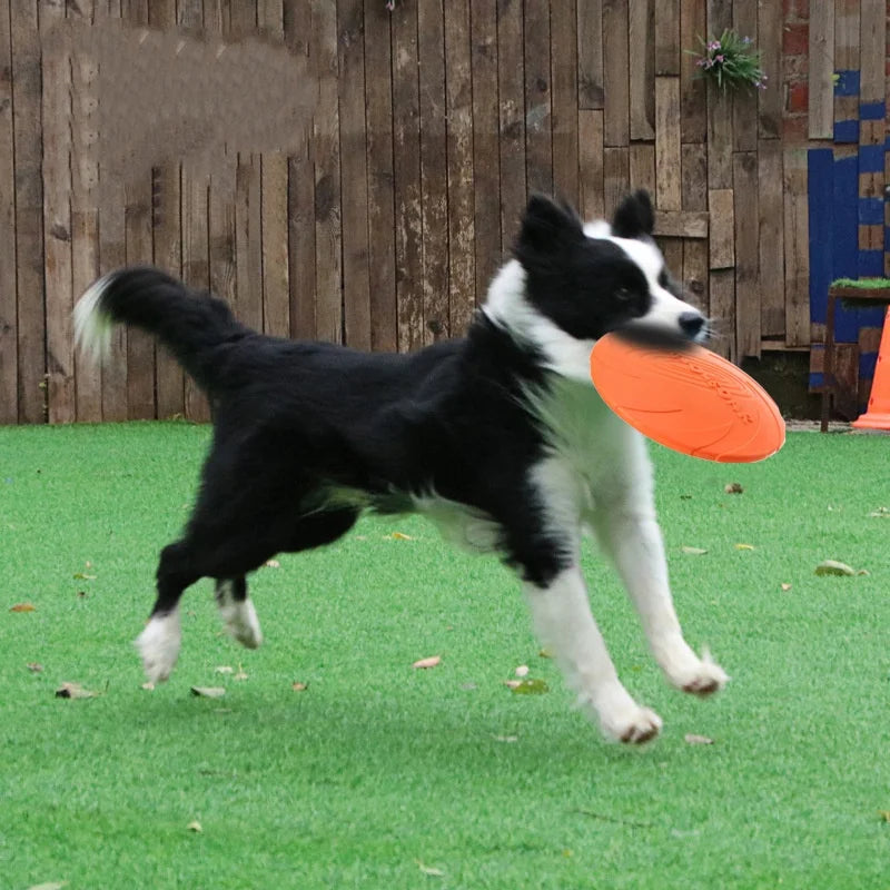Silicone Flying Disc Dog Toy