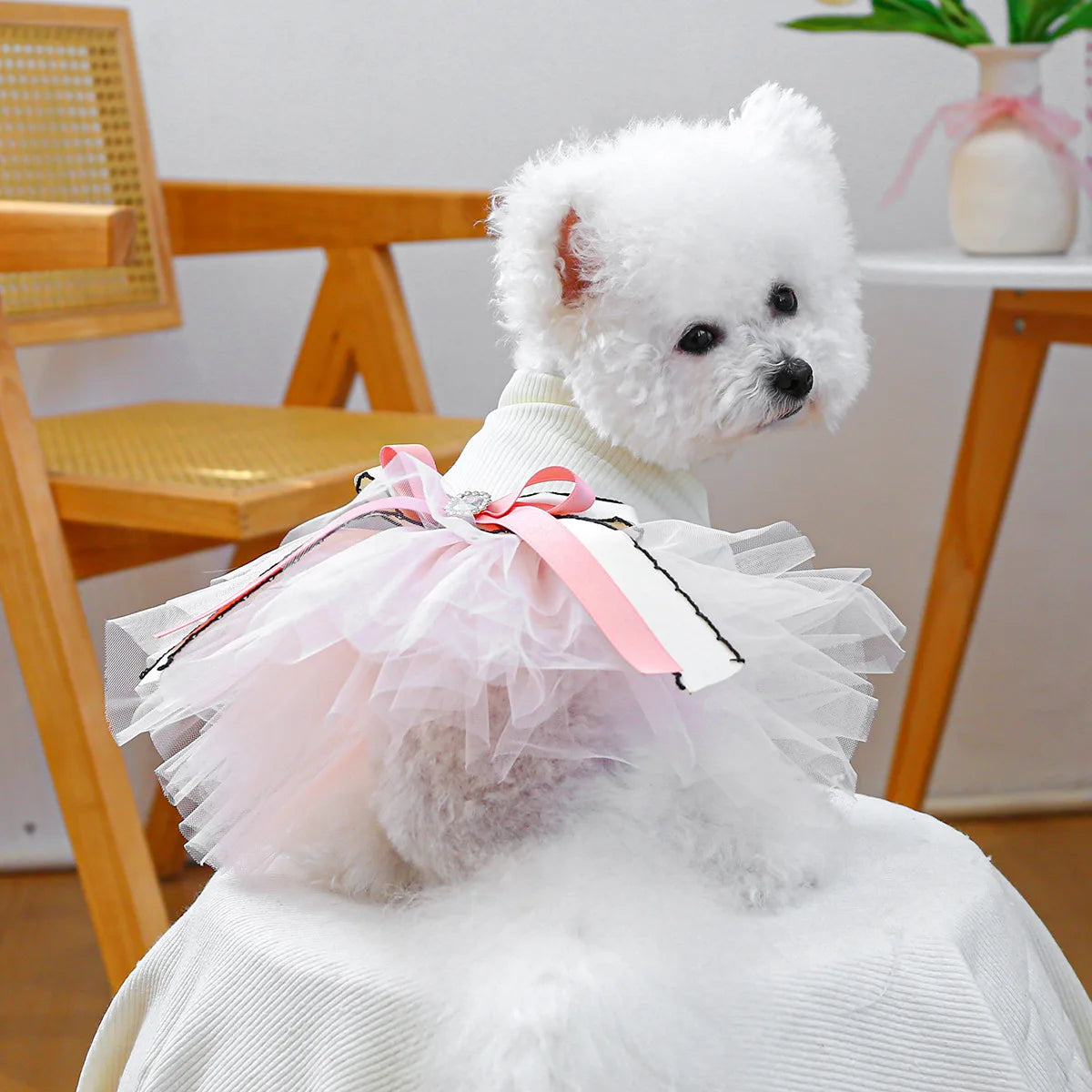 Princess Pet Dress