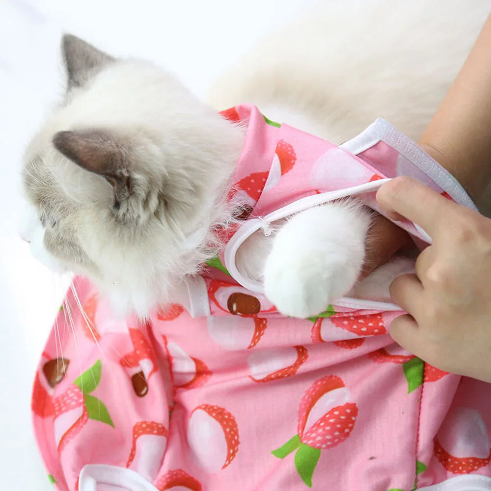Pet Recovery Vest