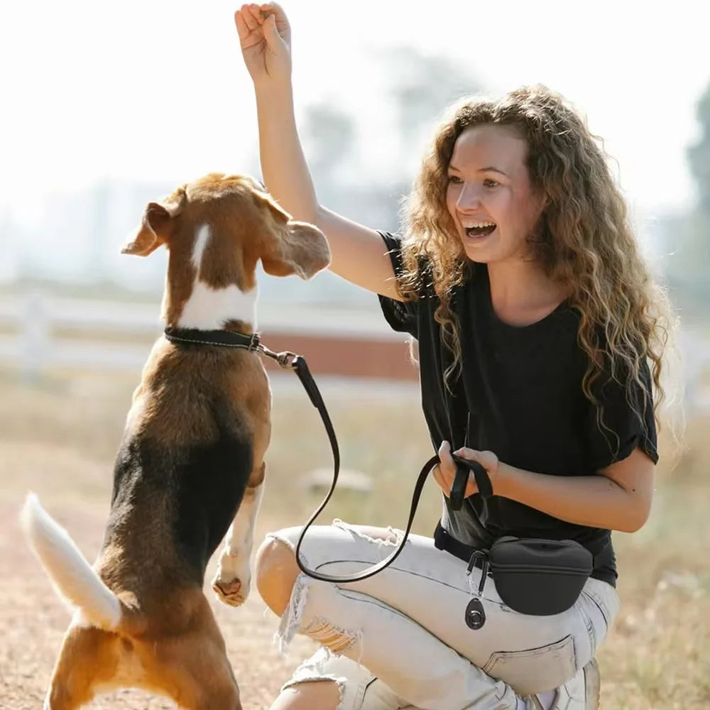 Silicone Pet Training Treat Pouch