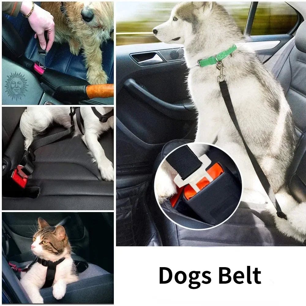 Adjustable Pet Car Seat Belt Safety Leash