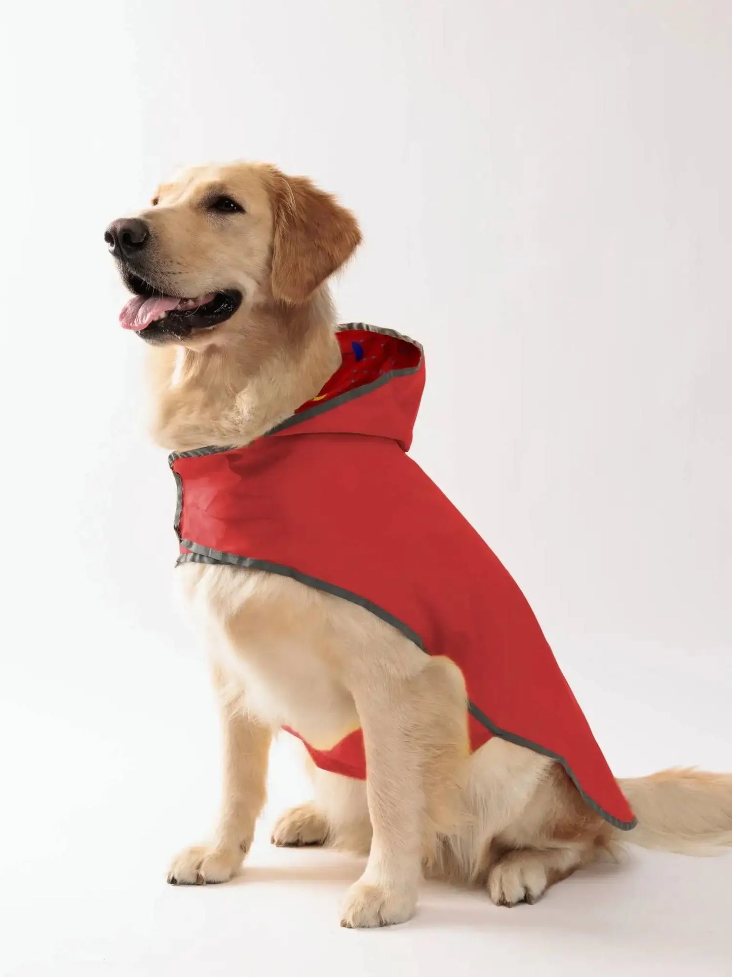 Double-Layer Reversible Dog Raincoat