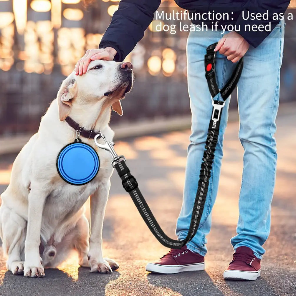 2-in-1 Adjustable Dog Car Seat Belt & Safety Leash