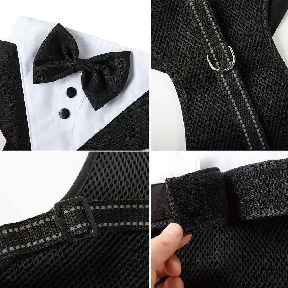 Dog Tuxedo Suit