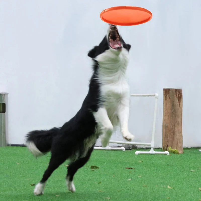 Silicone Flying Disc Dog Toy