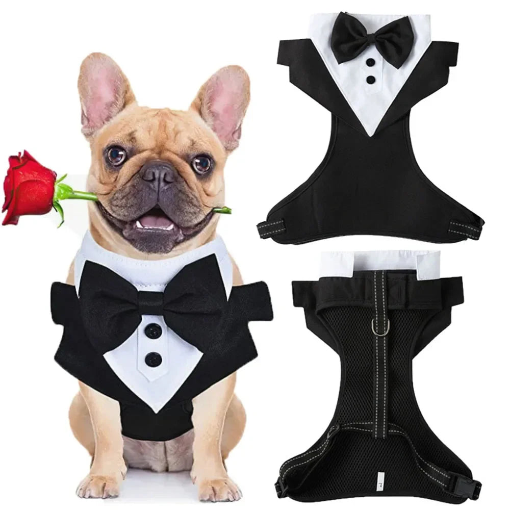 Dog Tuxedo Suit