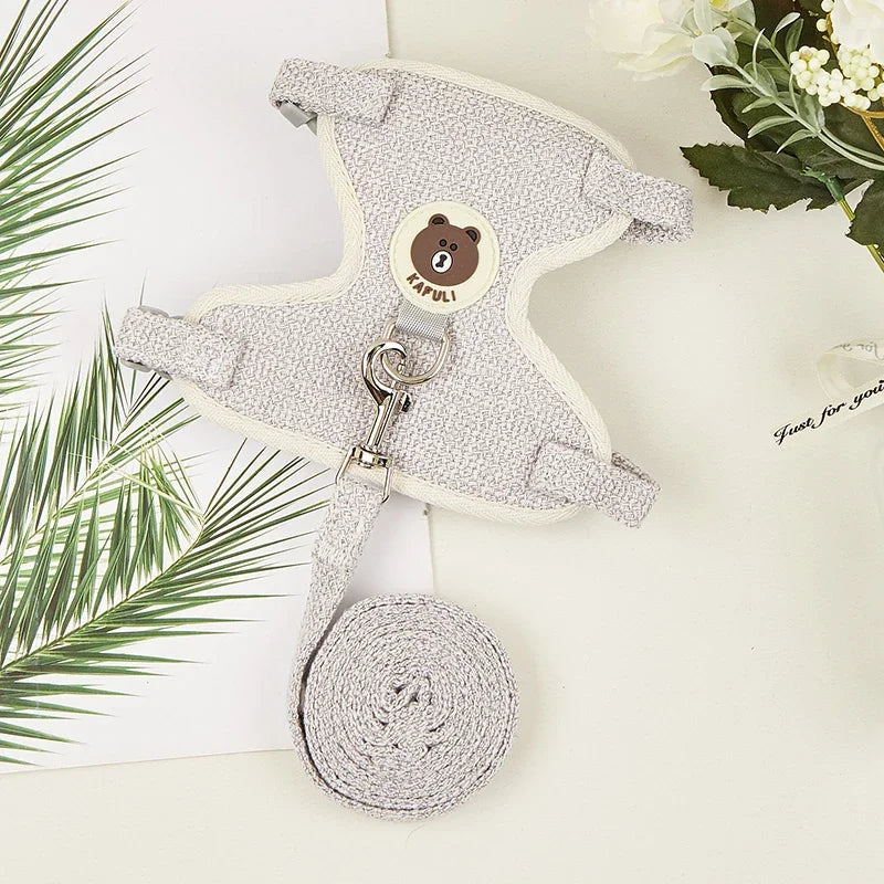 Soft Padded Pet Harness & Leash Set