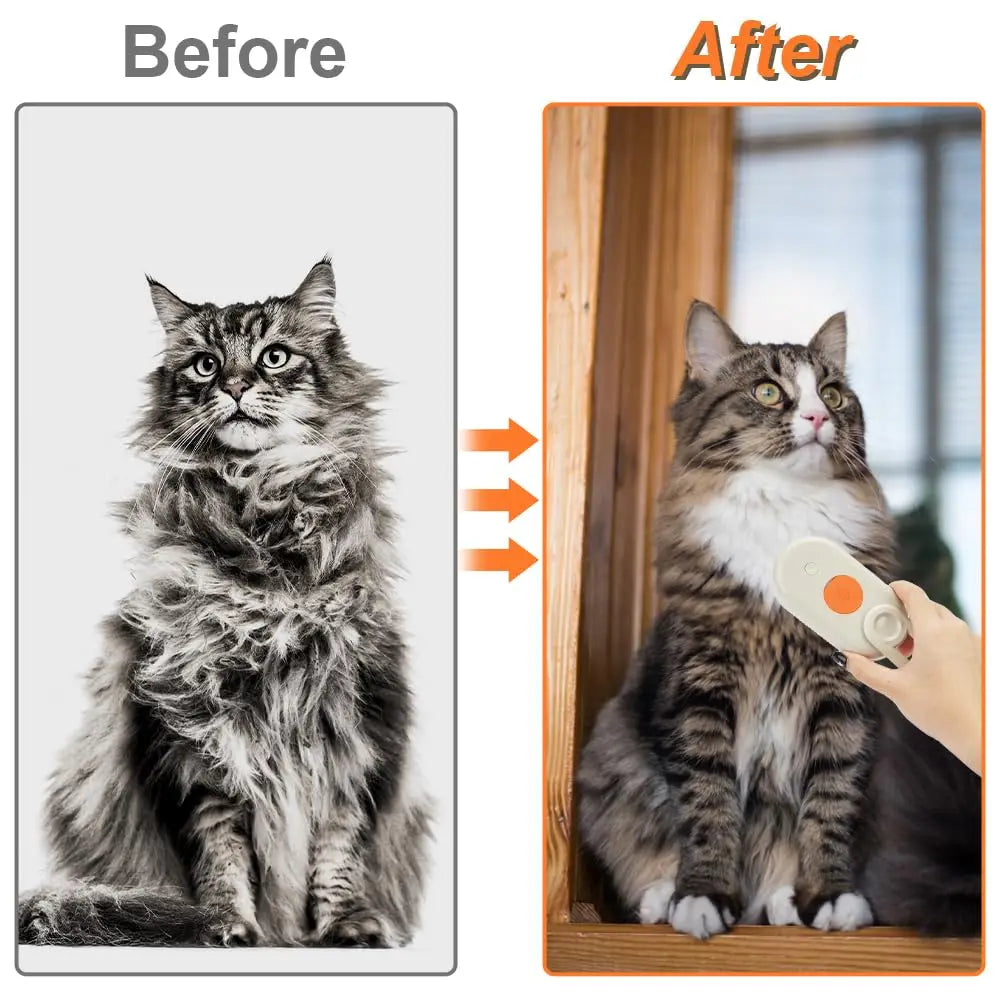 Steam Spray Pet Grooming Massage Brush