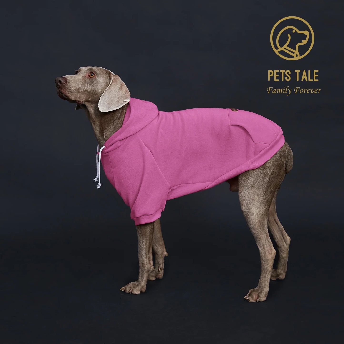 Dog Hoodie with Pocket