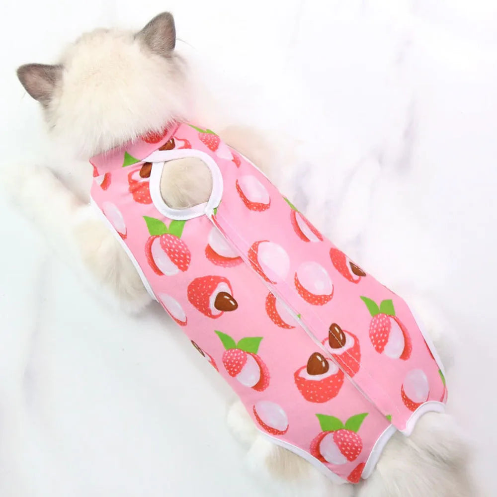 Pet Recovery Vest