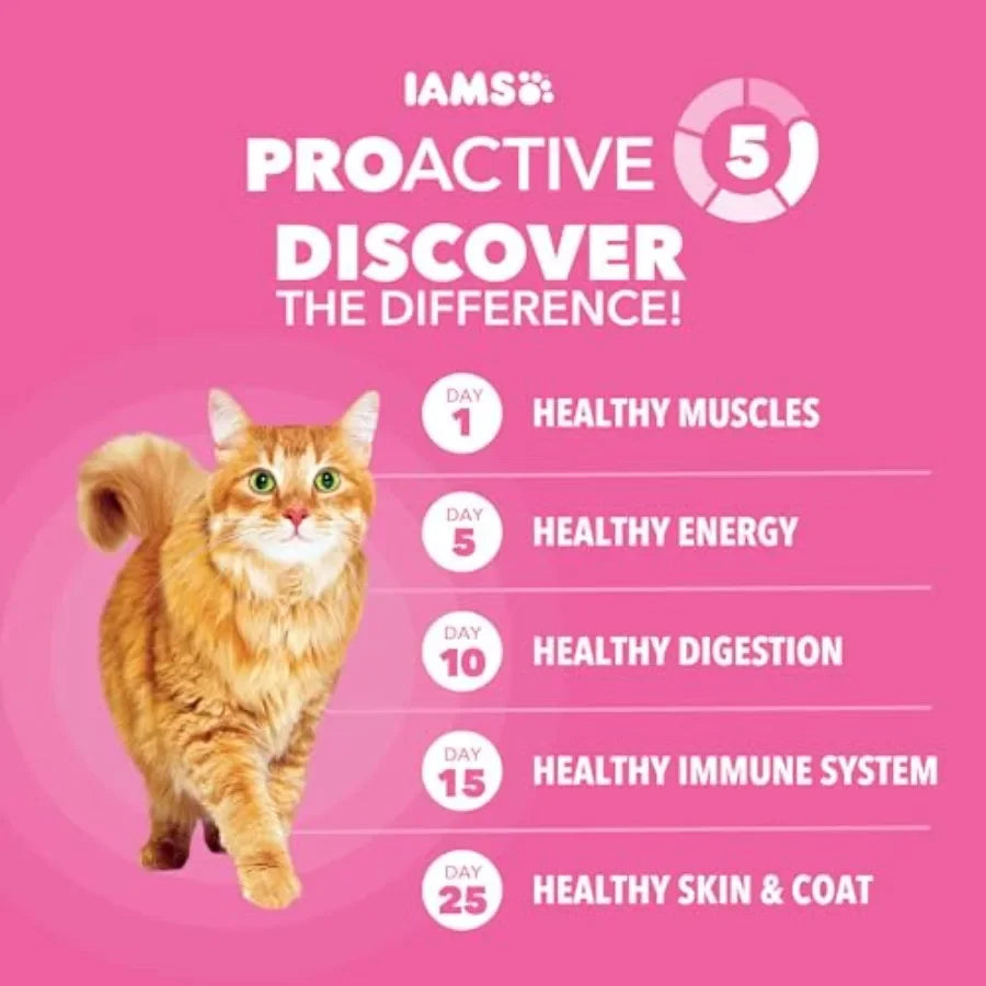Turkey Recipe Dry Cat Food